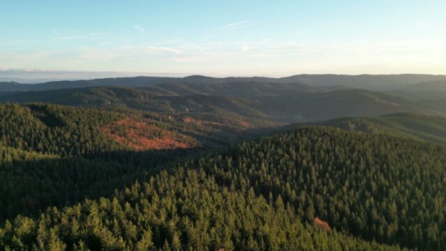 Podzimní hory a Czech O-Tour patří k sobě 🍂🌲.

Přihlášky do Harrachova konči v neděli!